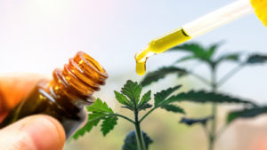 cbd